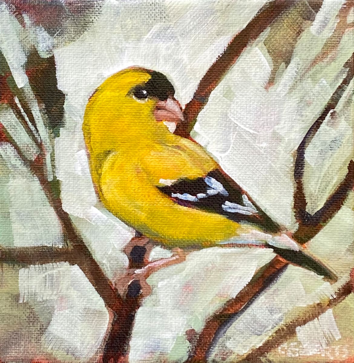 Goldfinch (1) 