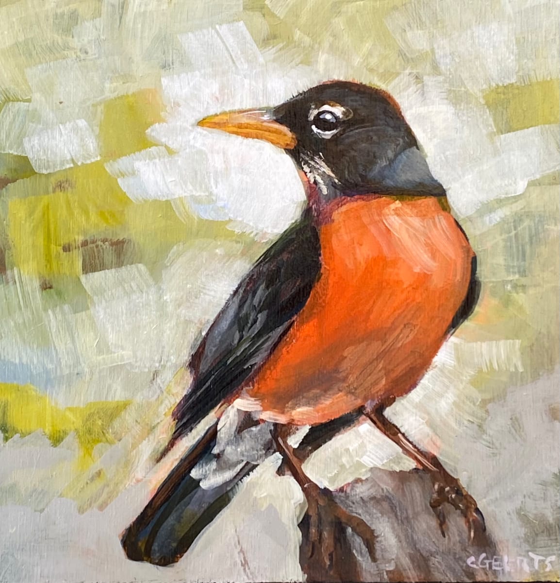 Robin, Image 1.