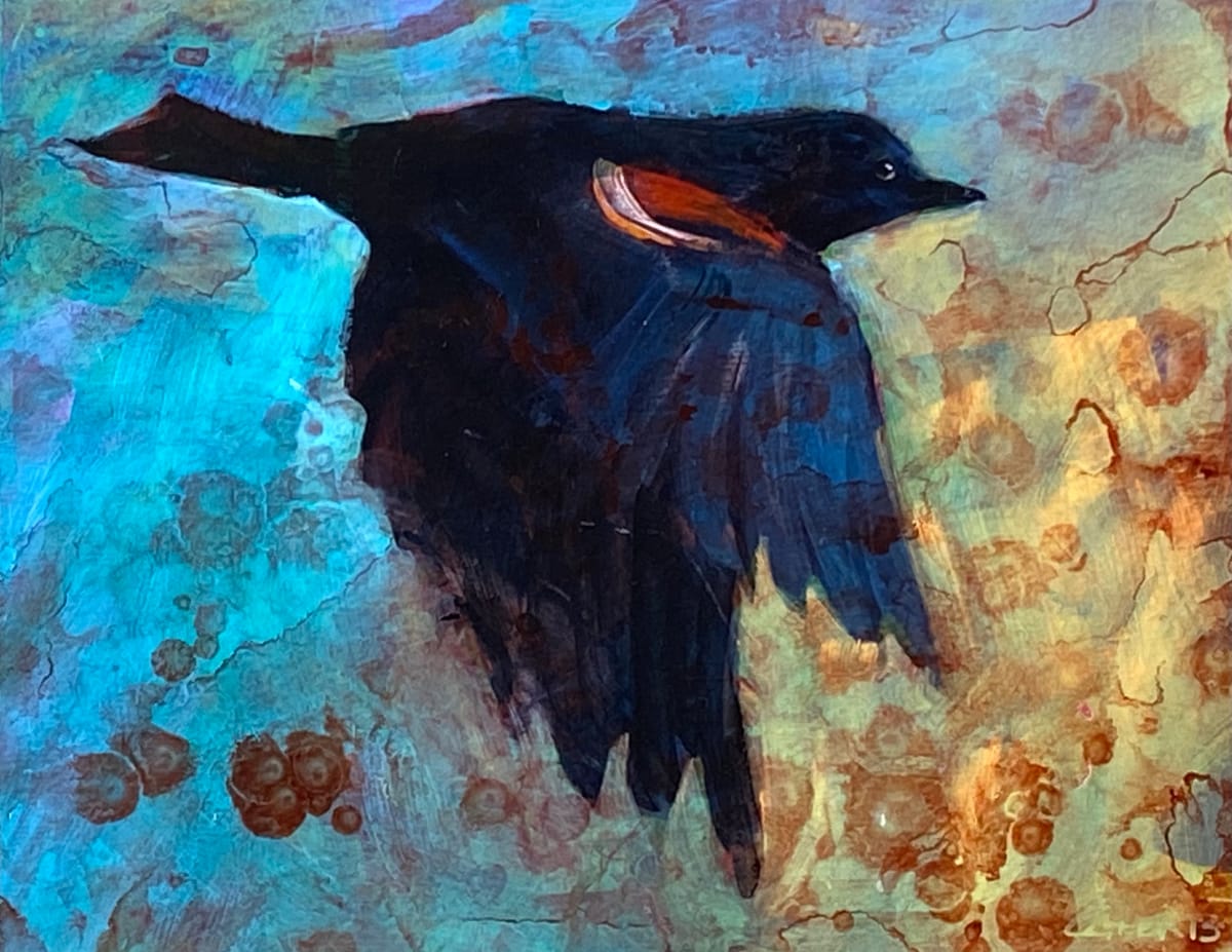 Flight of the Blackbird by Connie Geerts 