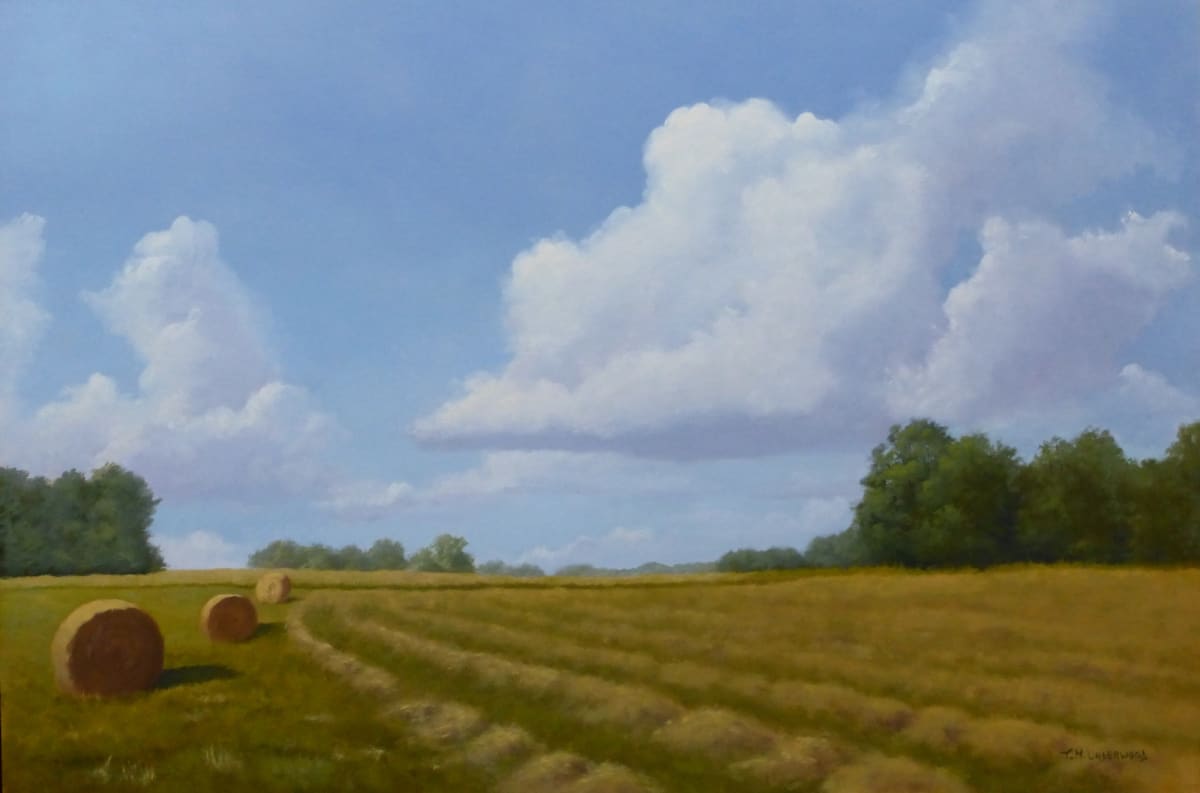 First Cut by Tina Underwood 