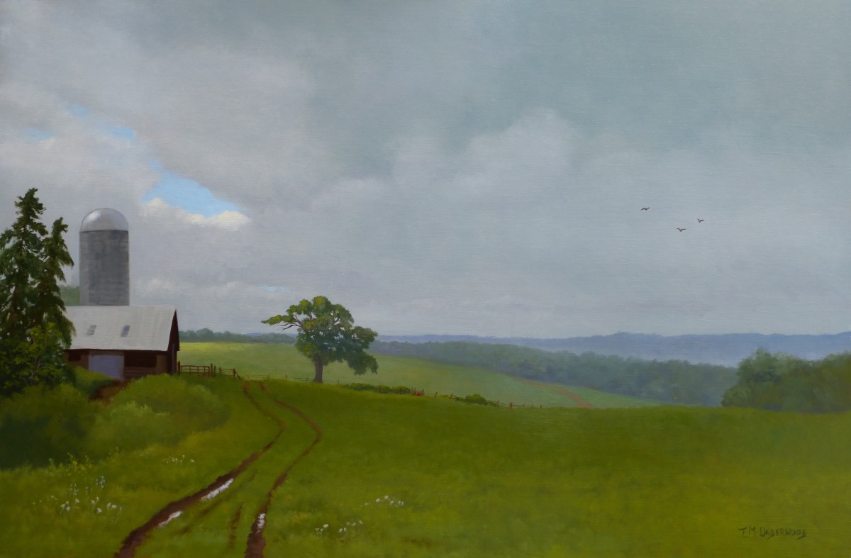 Passing Shower by Tina Underwood, Image 1.