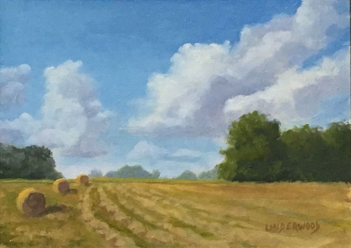 Study, First Cut by Tina Underwood 