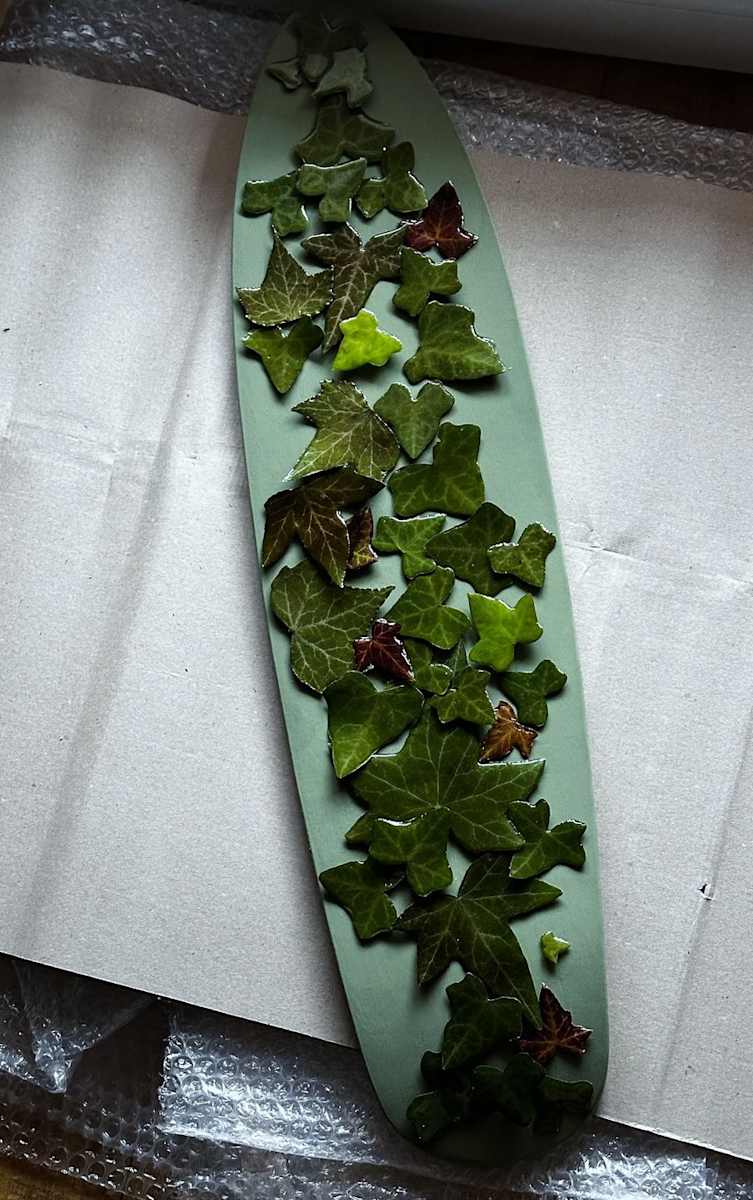 Ivy skate by Tiffany Matos 