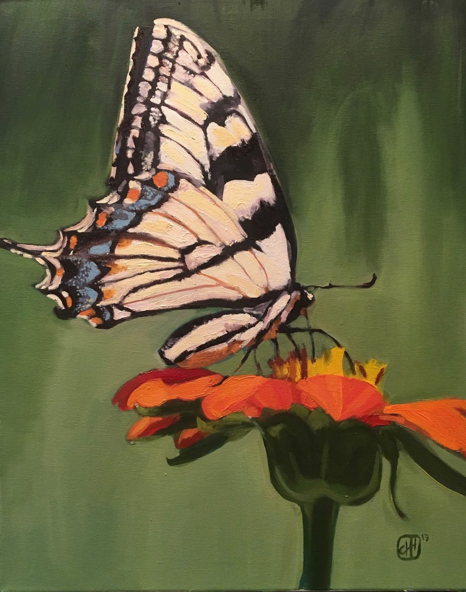 Elise's Butterfly by Christy Hegarty 
