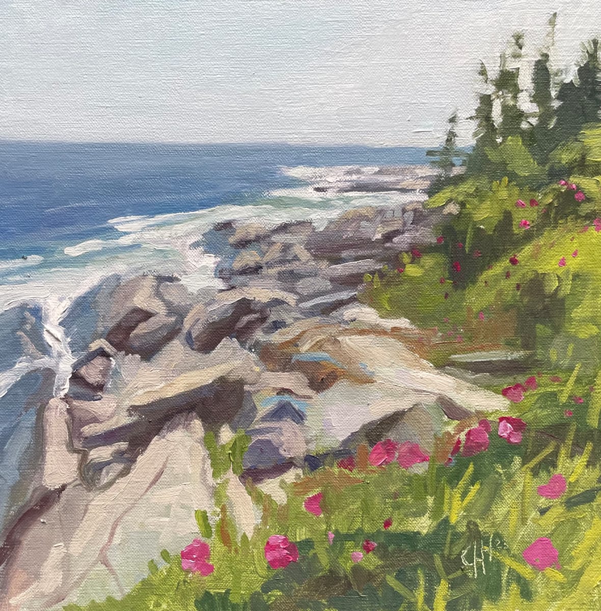 Rocks and Roses at Pemaquid Point by Christy Hegarty 