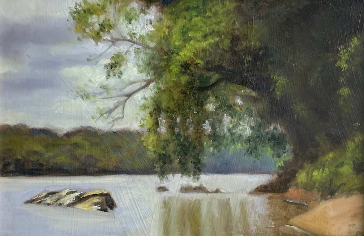 Weeping Tree by John Bannon, Image 1.