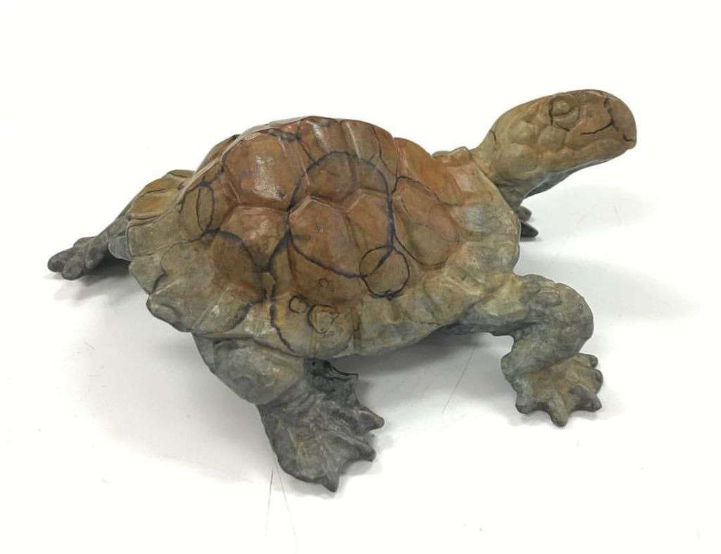 Turtle by Dan Chen, Image 1.