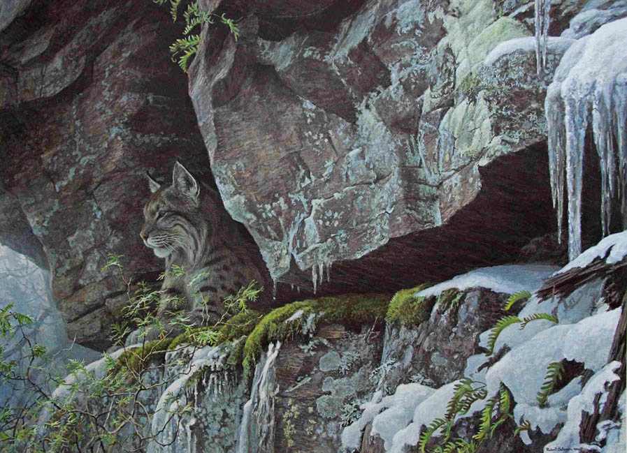 The Cliff-Bobcat, Image 1.