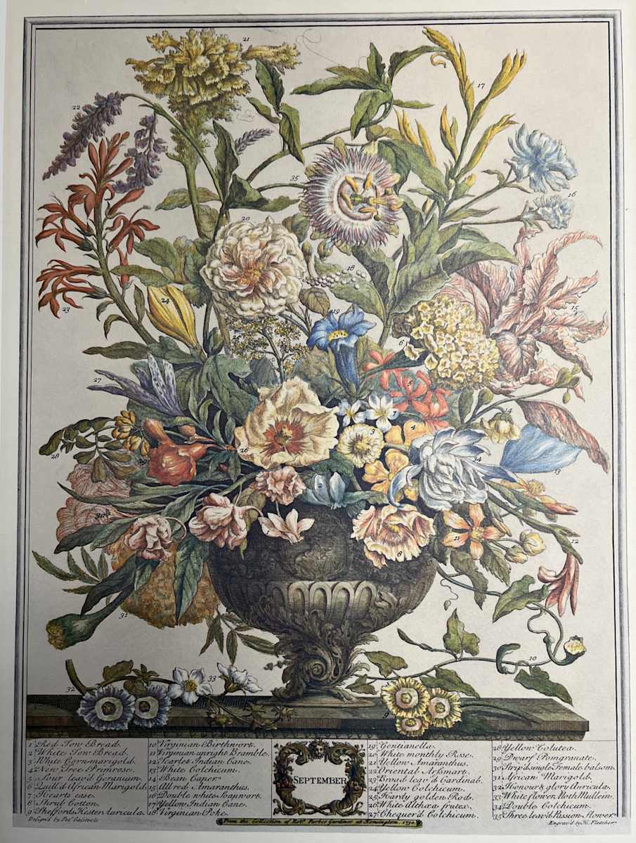 September, Image 2.