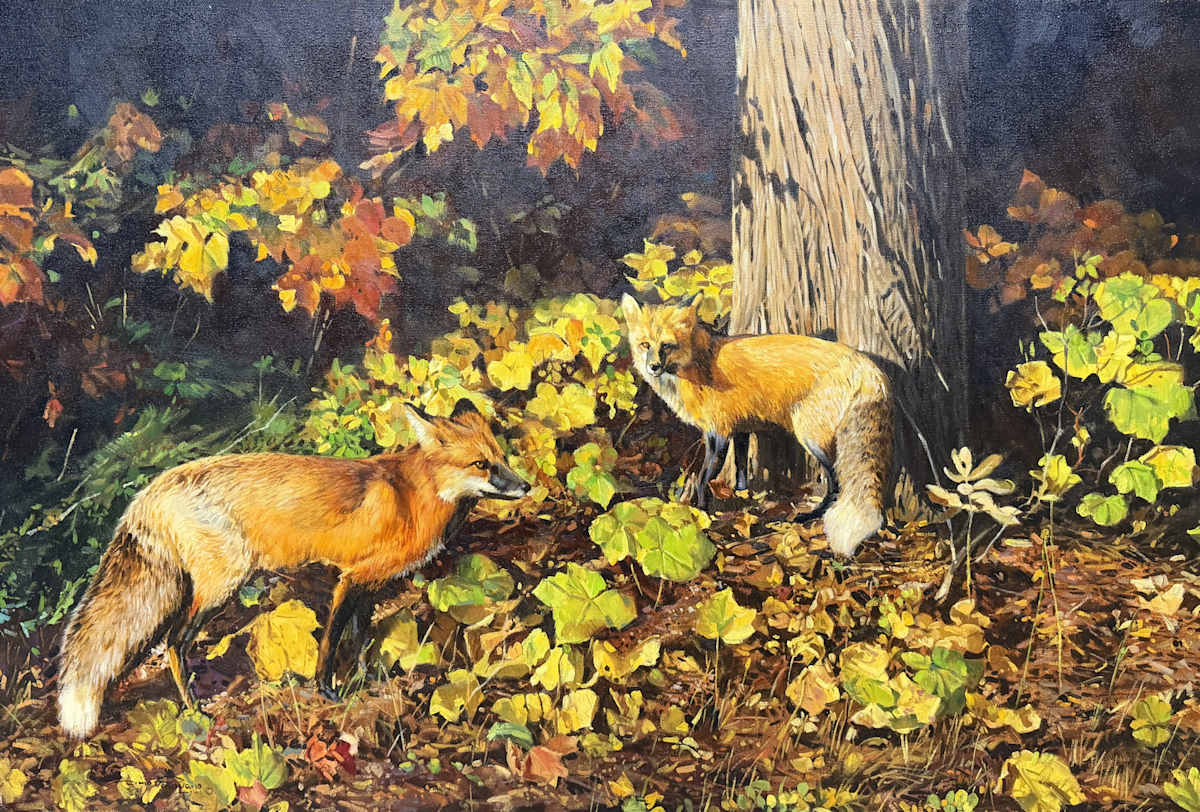 Foxes in the Fall by Dino Paravano, Image 1.