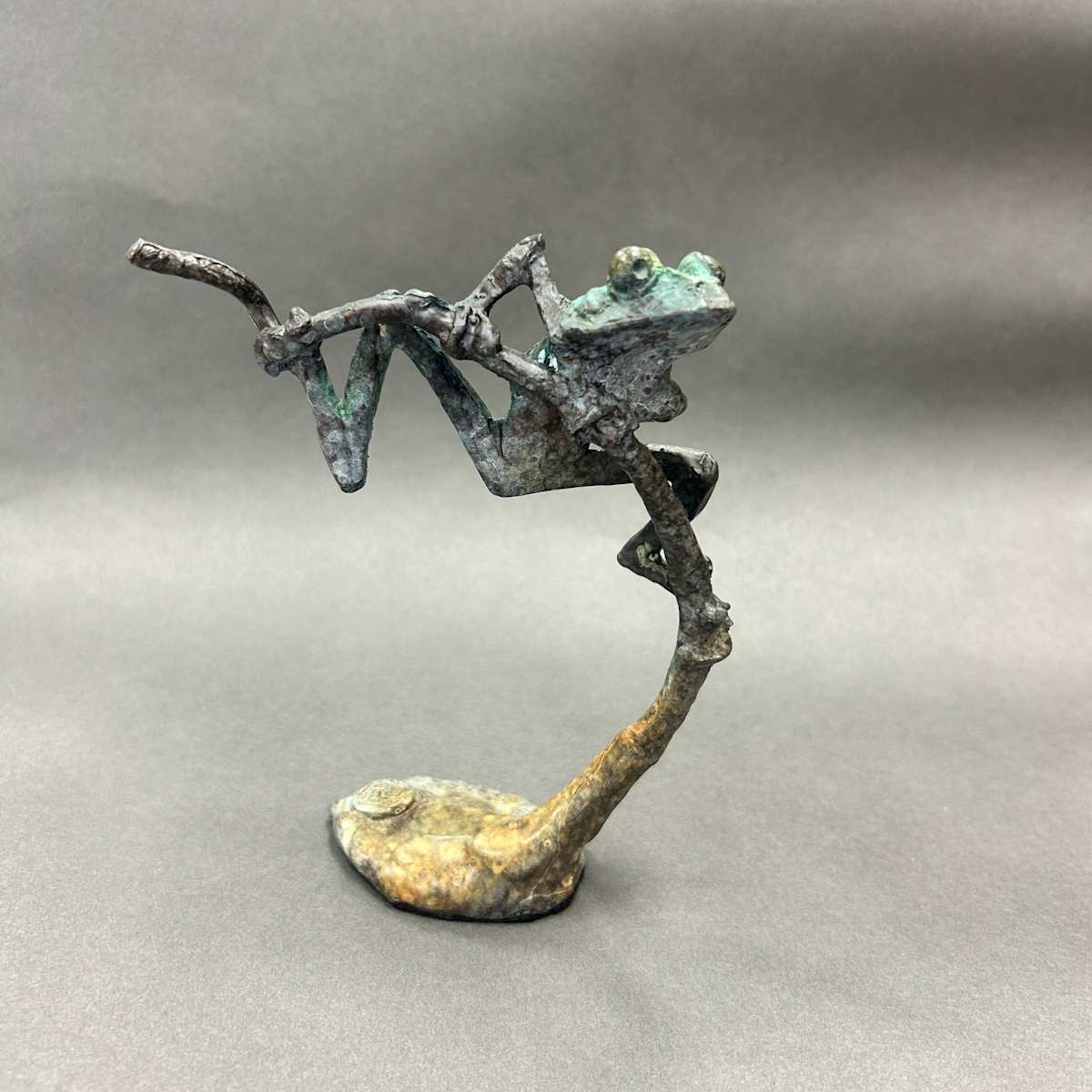 Tree Frog A by Dan Chen, Image 1.