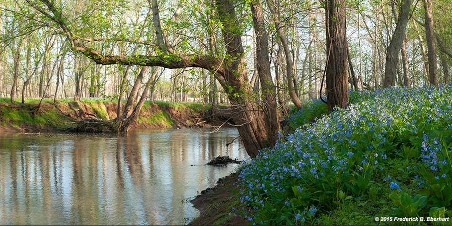 Spring on Bull Run by Frederick Eberhart, Image 1.