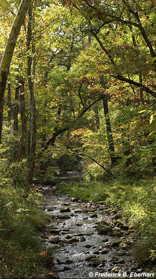 Cowardin Run by Frederick Eberhart, Image 1.