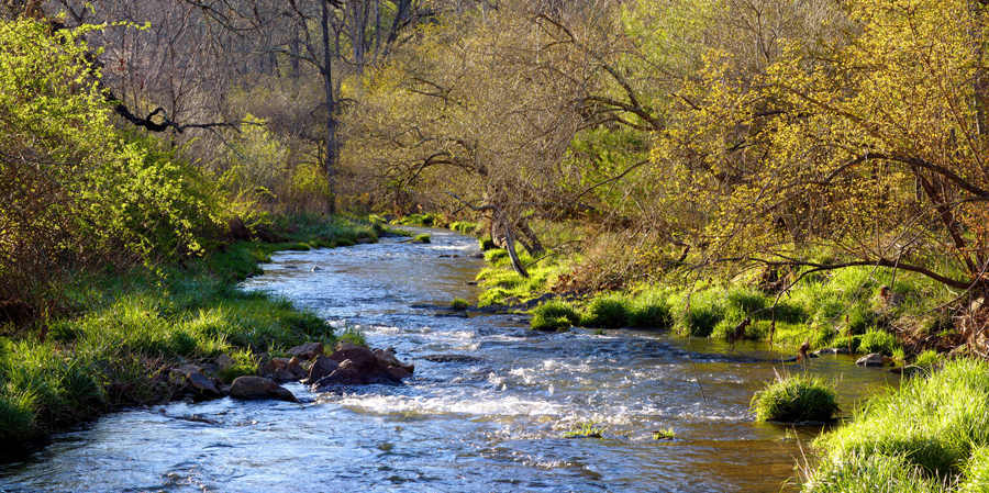 Spring Fed by Frederick Eberhart, Image 1.