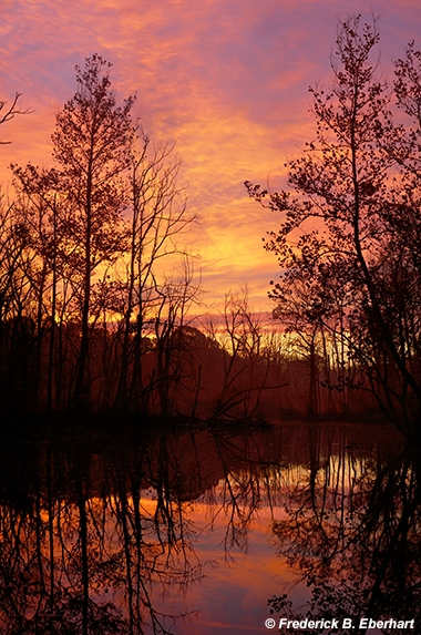 Broad Run by Frederick Eberhart, Image 1.
