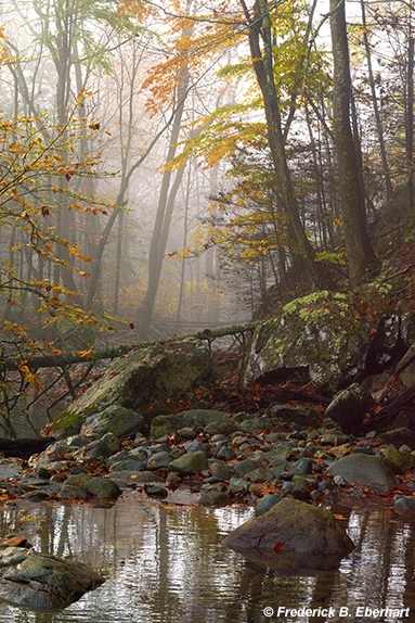 White Oak Canyon by Frederick Eberhart, Image 1.