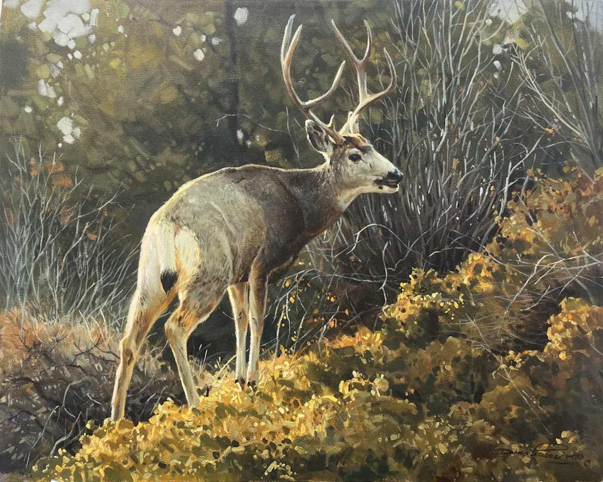 Cautious Buck by Dino Paravano, Image 1.
