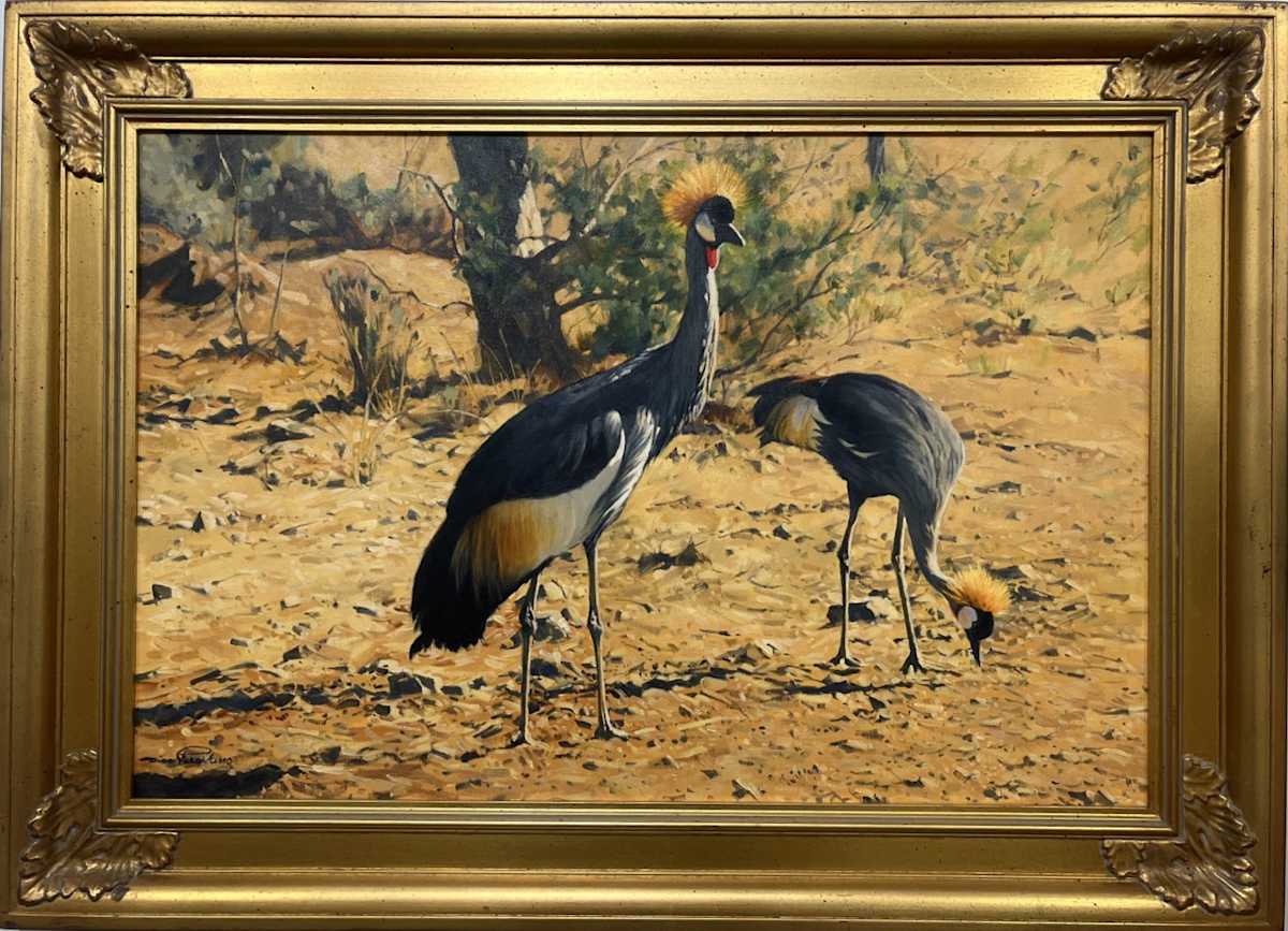 Crowned Cranes by Dino Paravano, Image 1.