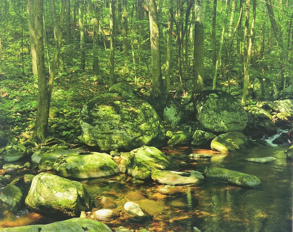 On The Hughes River by Frederick Eberhart, Image 1.