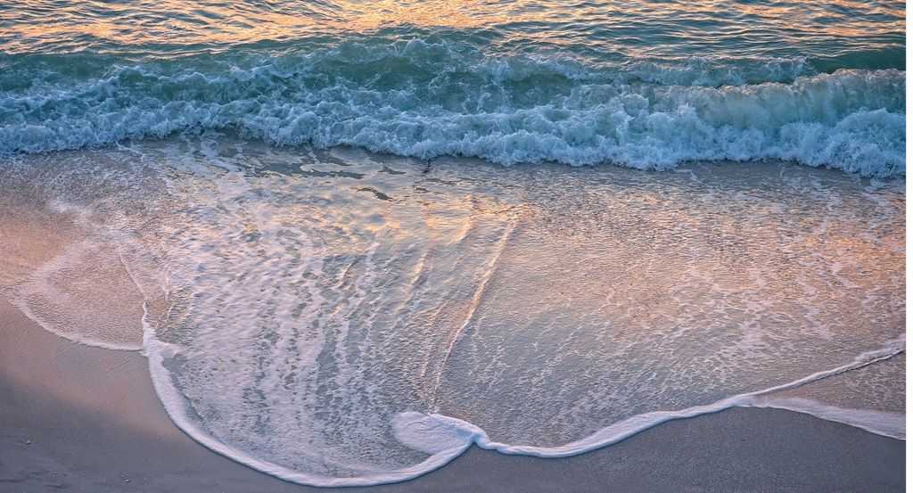 Naples, FL by Mitchell Freedman, Image 1.