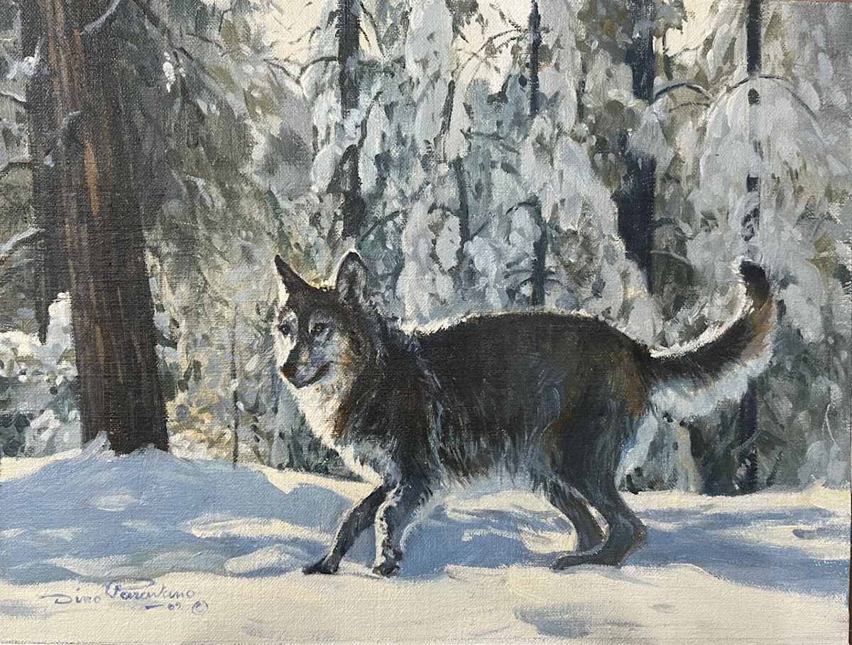 Wolf in Snow by Dino Paravano, Image 1.