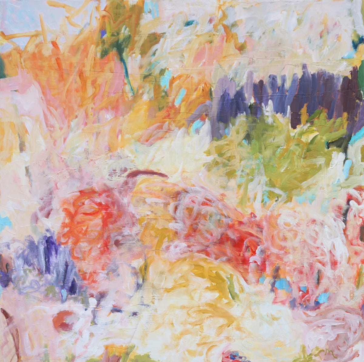 Superbloom by Laurie MacMillan 