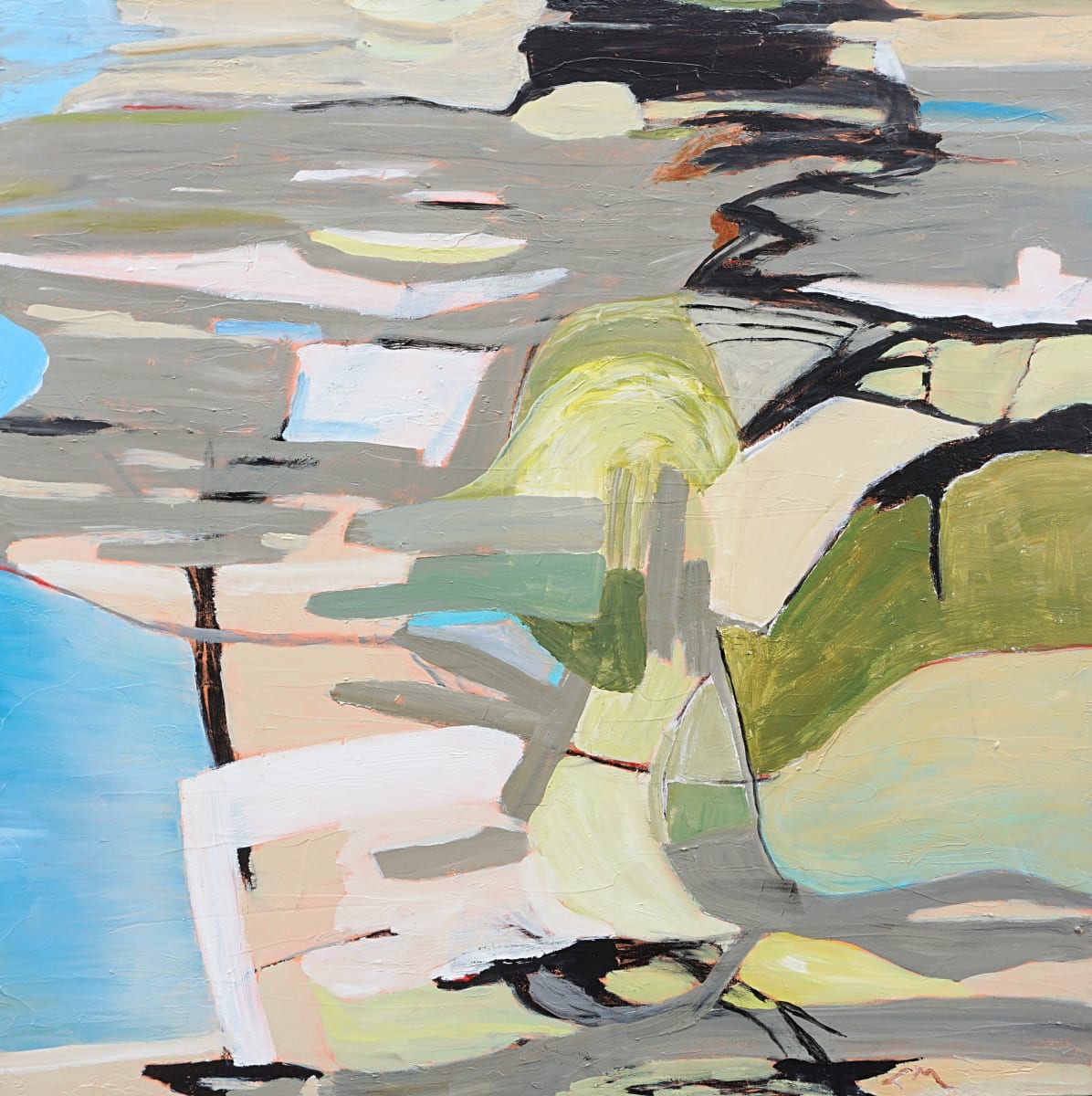 Tidal Zone by Laurie MacMillan 