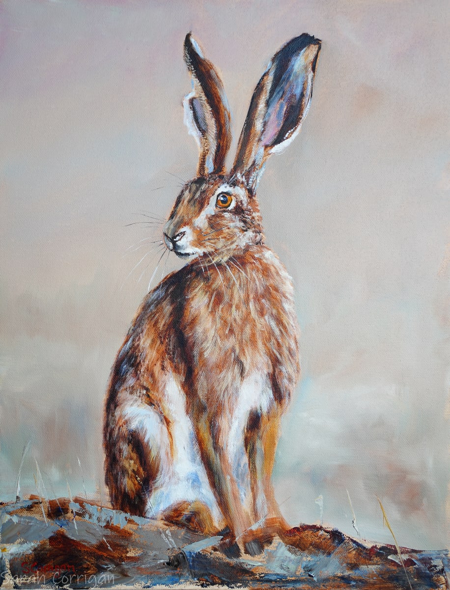 Hare 2 