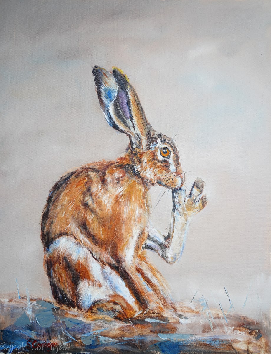 Hare 3 