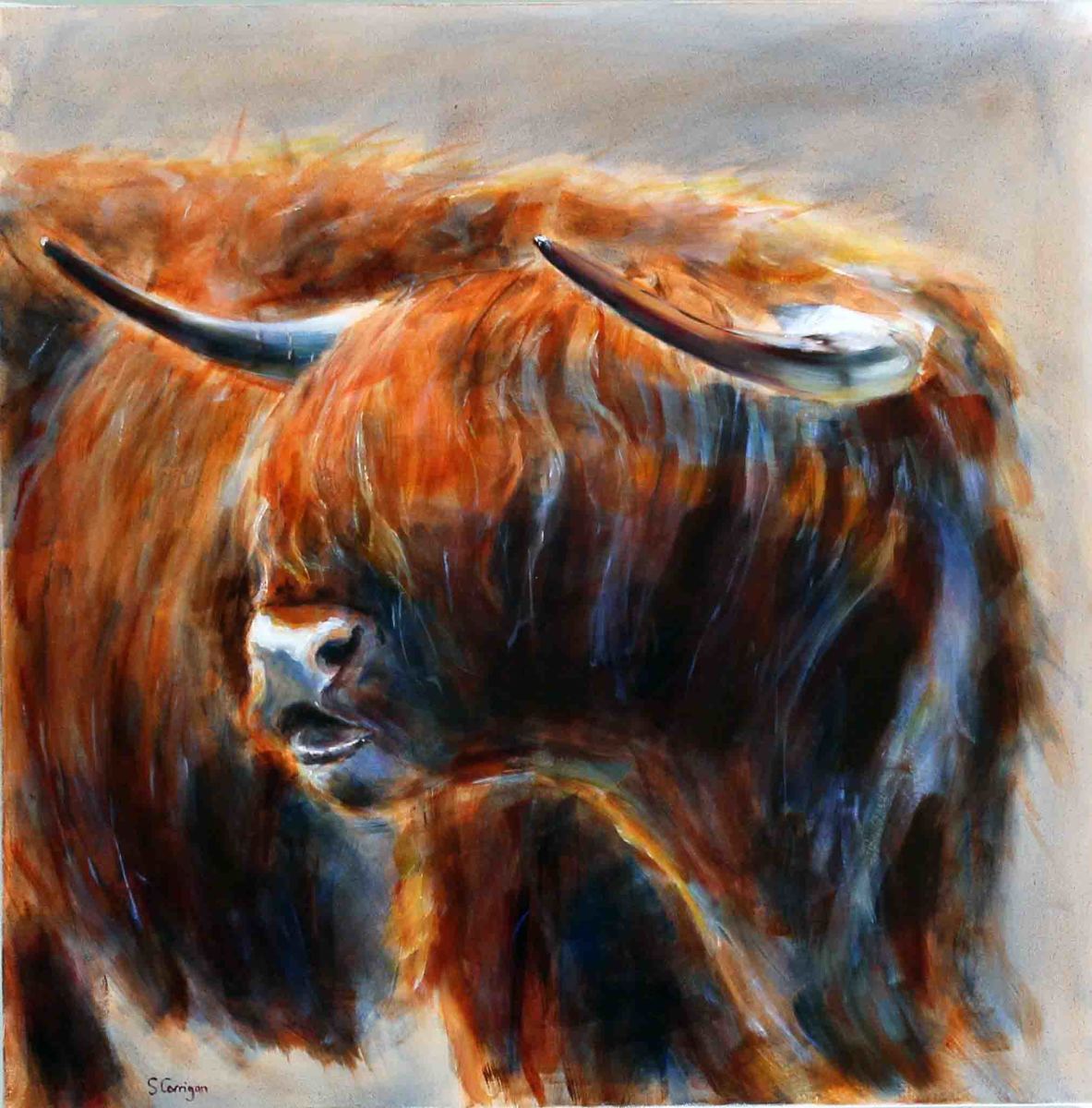 Highlander by Sarah Corrigan 