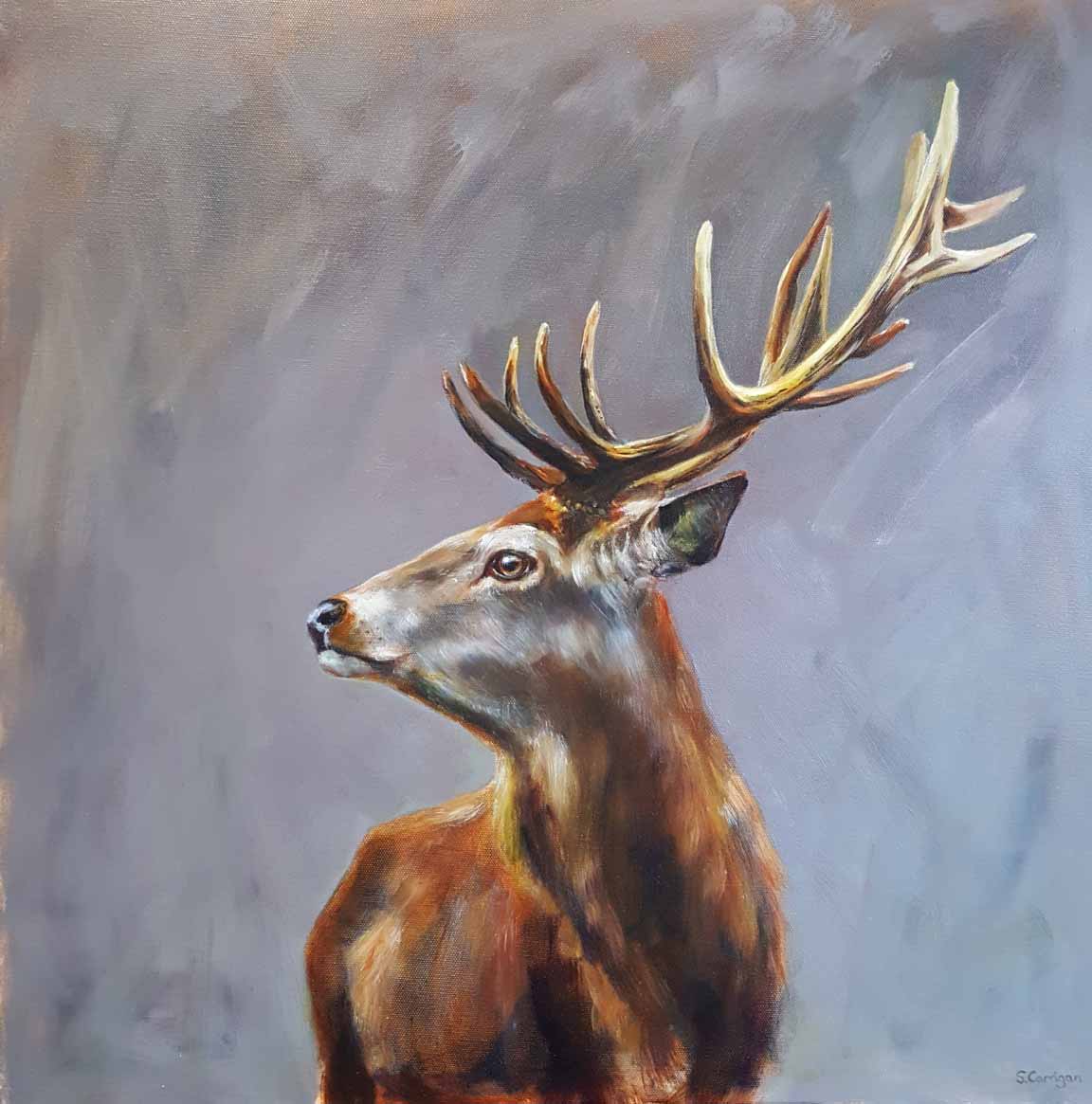 Looking by Sarah Corrigan 