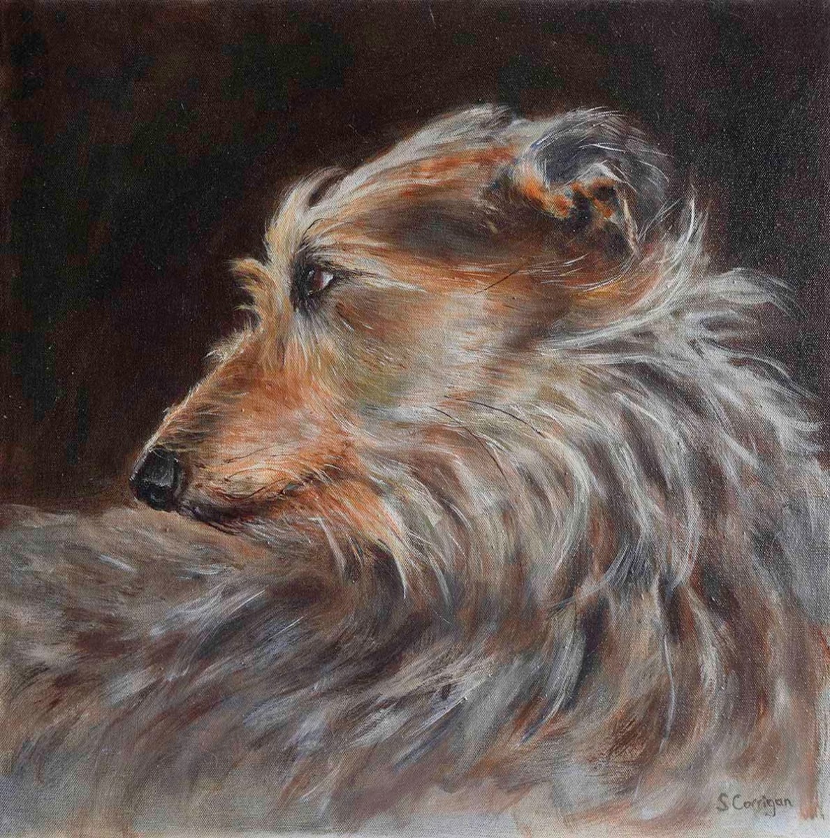 The Glance by Sarah Corrigan 