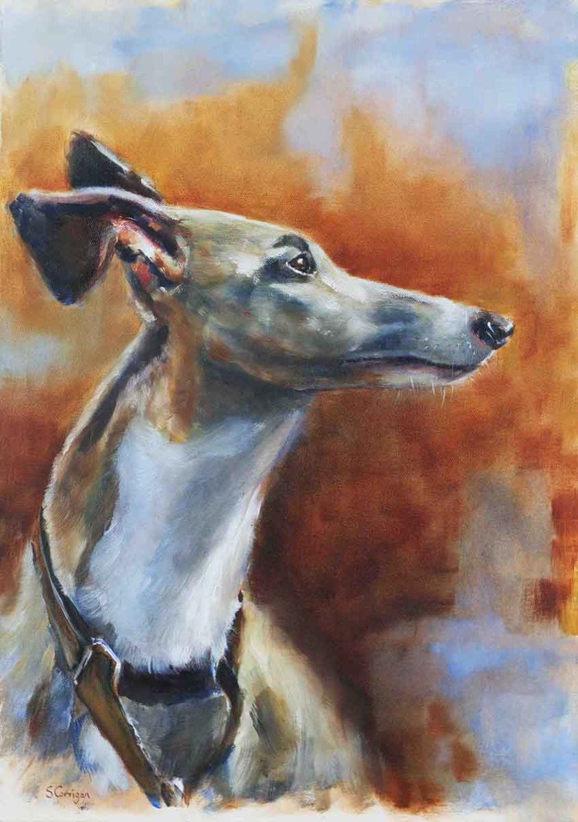 Whippet by Sarah Corrigan 