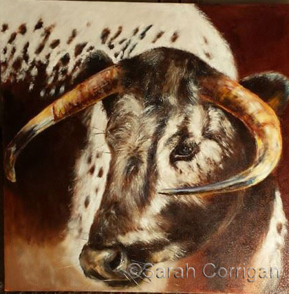 Brown Cow by Sarah Corrigan 