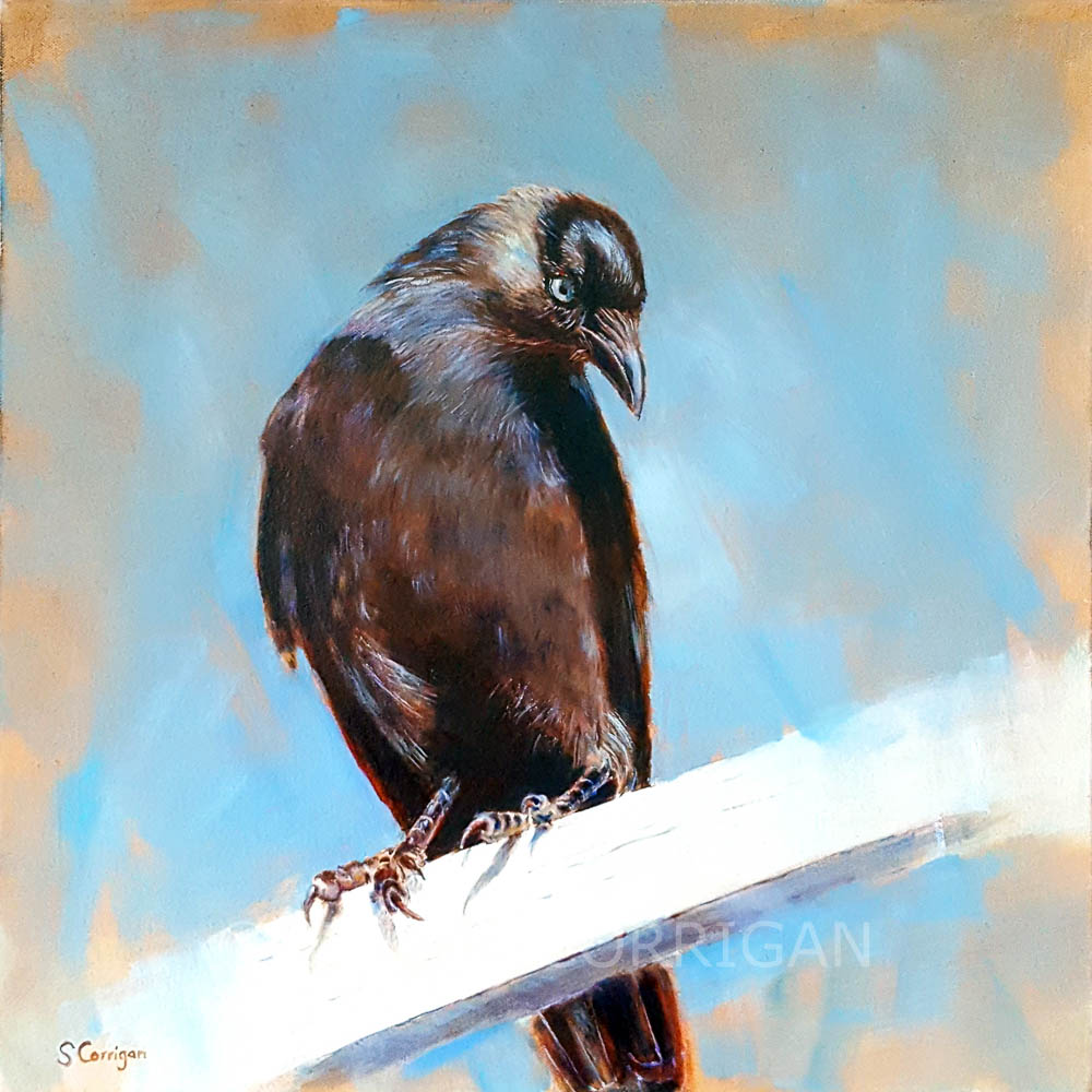 I See by Sarah Corrigan 