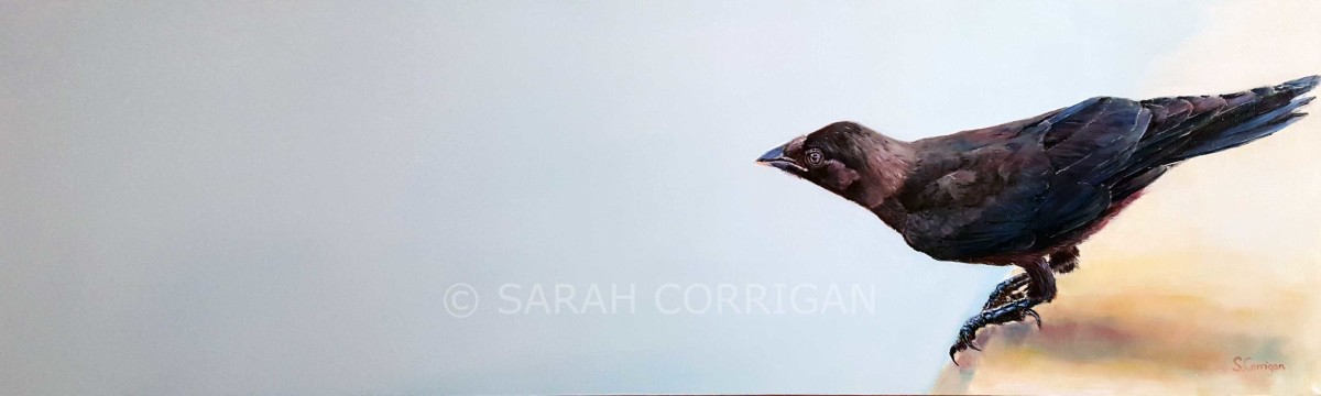 Its Mine by Sarah Corrigan 