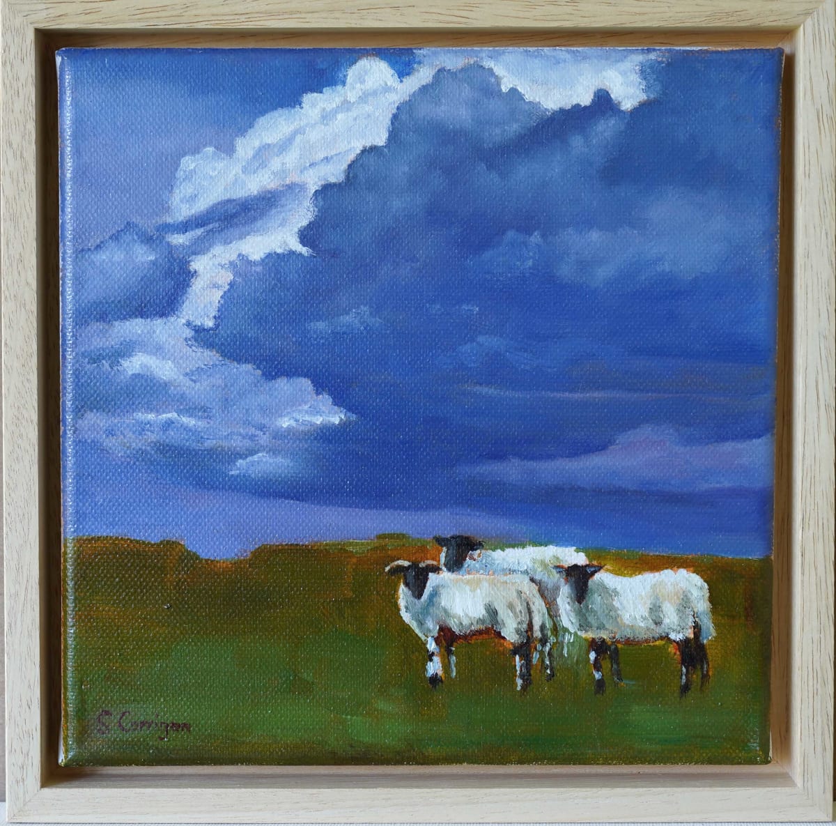Sheep in the landscape by Sarah Corrigan, Image 1.