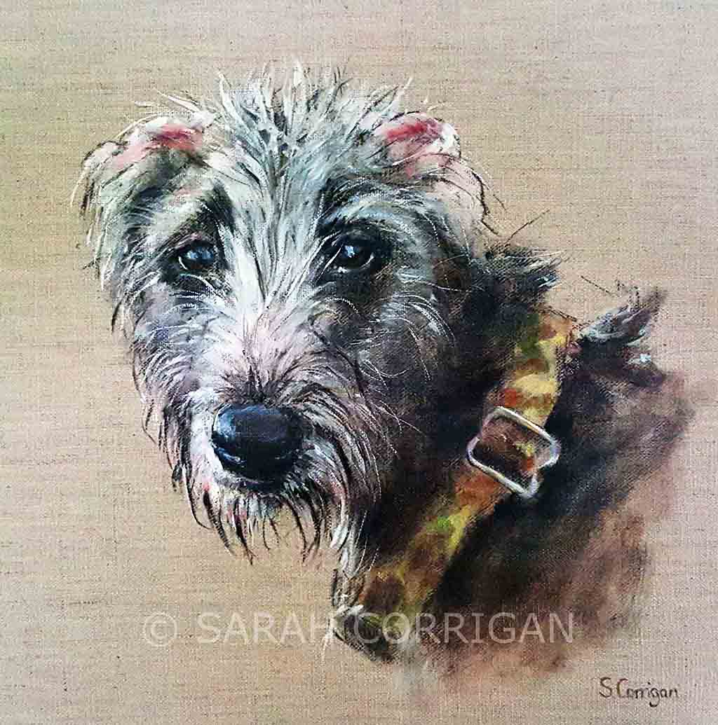 The stare by Sarah Corrigan, Image 1.