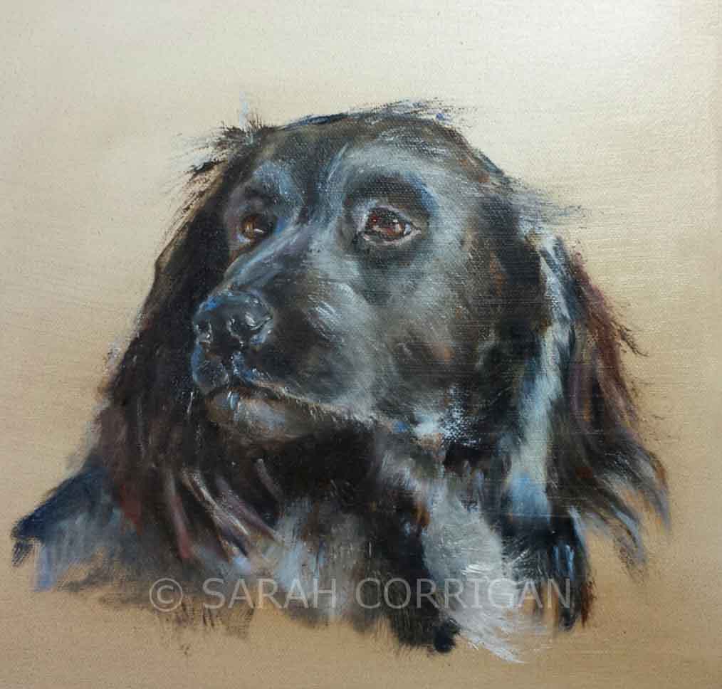 Waiting by Sarah Corrigan 