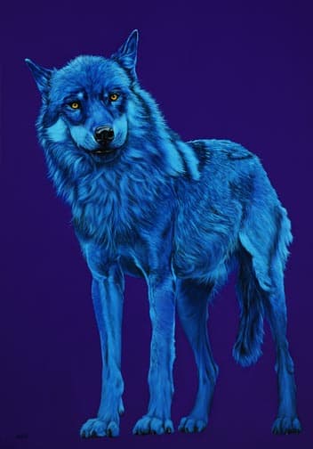 BLUE WOLF, 2006 by HELMUT KOLLER | Artwork Archive