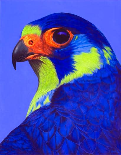 FALCON HEAD, 2007 by HELMUT KOLLER  