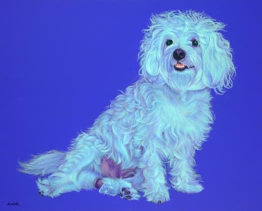 BENTLEY IN BLUE, 2008 by HELMUT KOLLER 