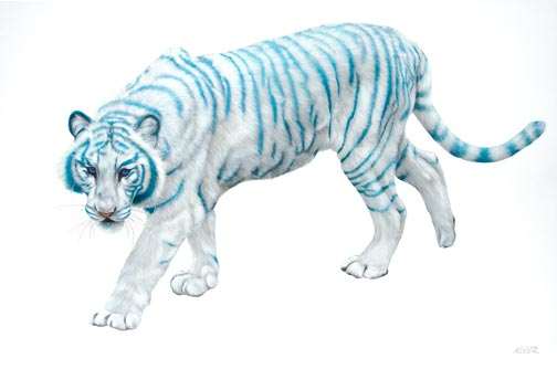 WHITE TIGER ON WHITE, 2009 by HELMUT KOLLER , Image 1.