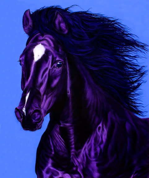 HORSE HEAD IN DARK VIOLET, 2010 by HELMUT KOLLER  