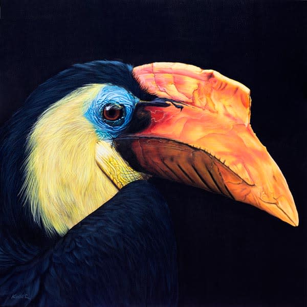 WRINKLED HORNBILL ON BLACK, 2012 by HELMUT KOLLER  