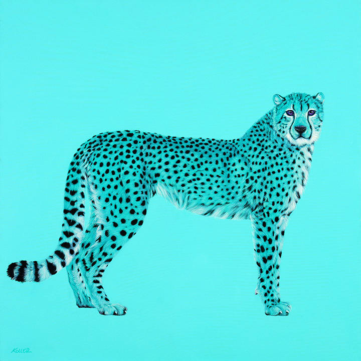 CHEETAH IN COBALT TEAL, 2014 by HELMUT KOLLER, Image 1.