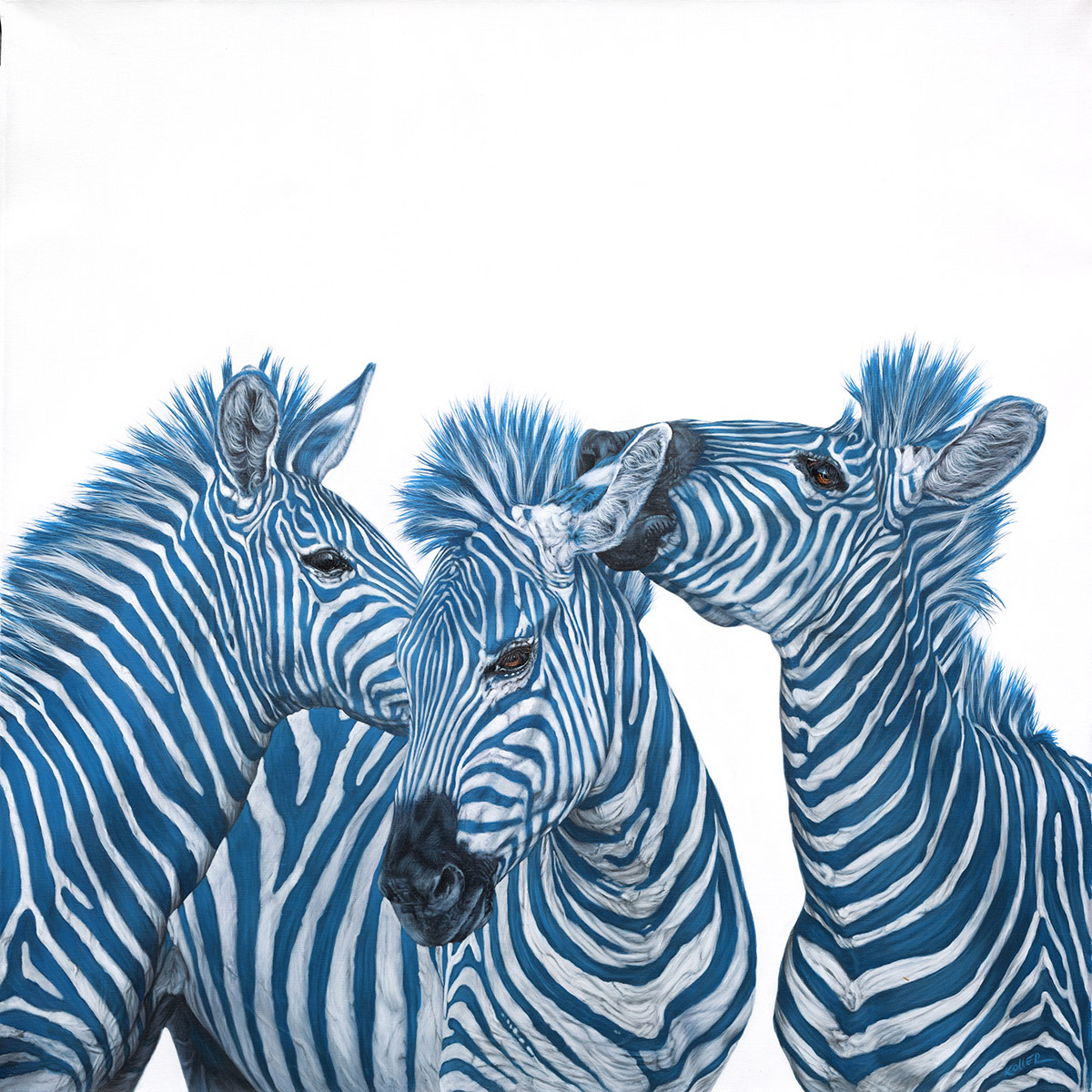 THREE BLUE ZEBRAS, 2015 by HELMUT KOLLER 