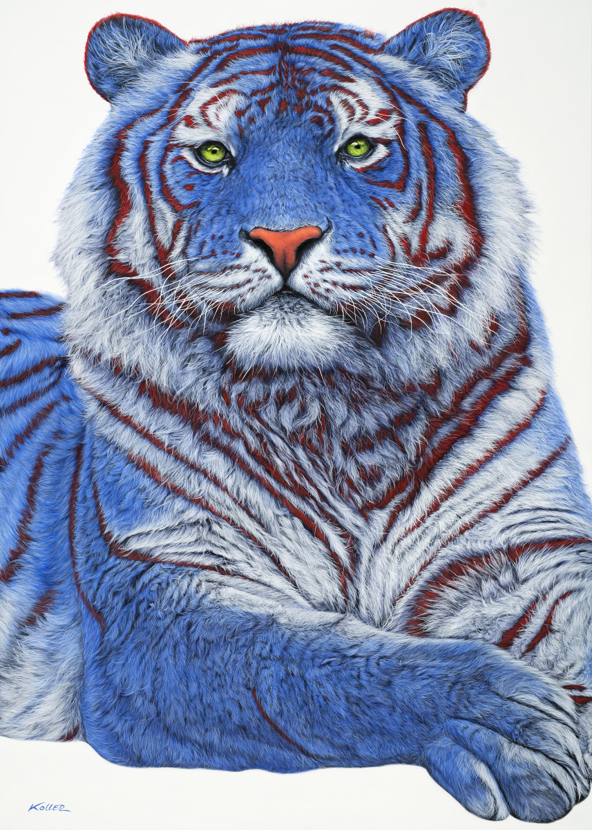 SIBERIAN TIGER IN BLUE, 2018 by HELMUT KOLLER  