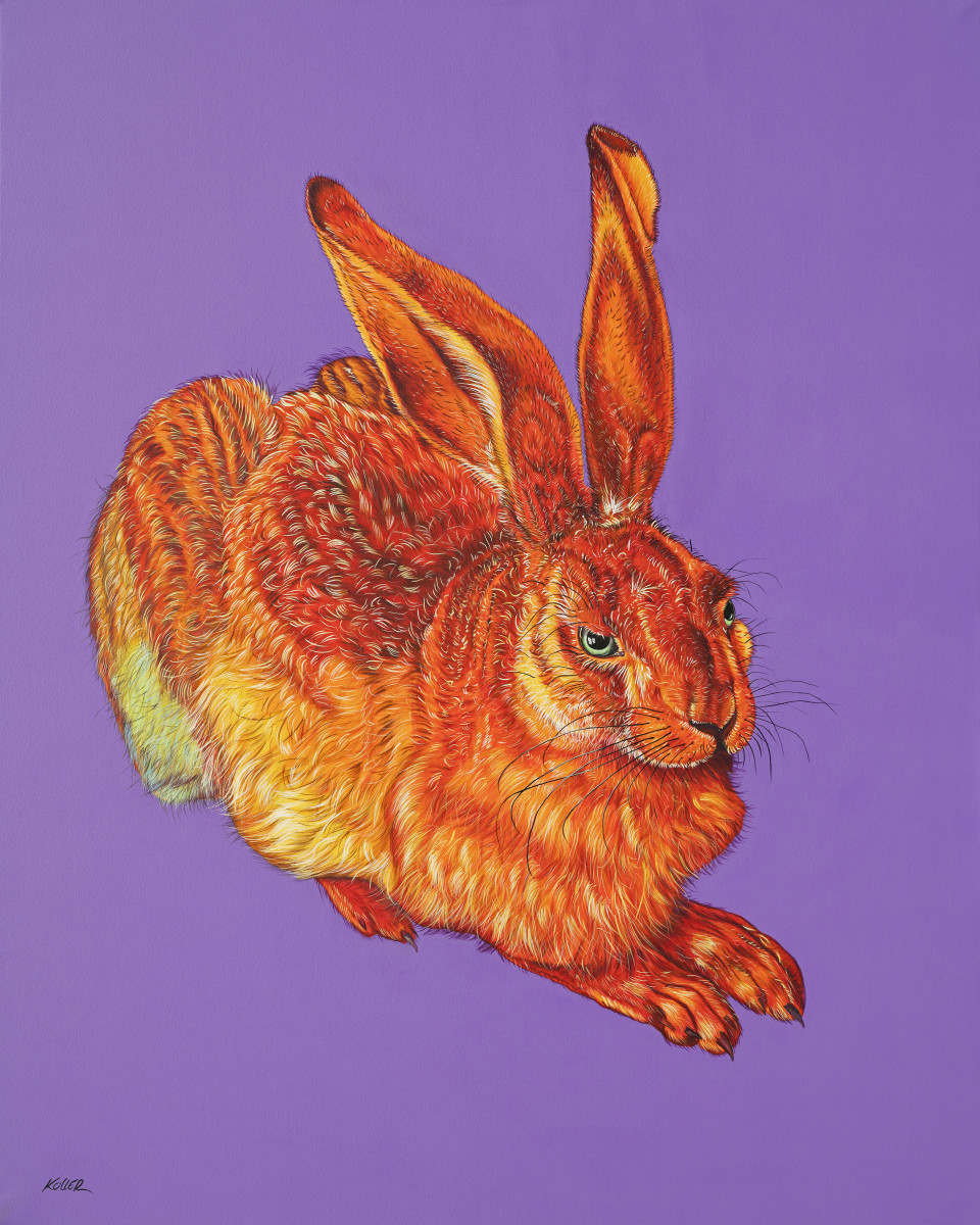 DÜRER HARE IN ORANGE, 2018 by HELMUT KOLLER 