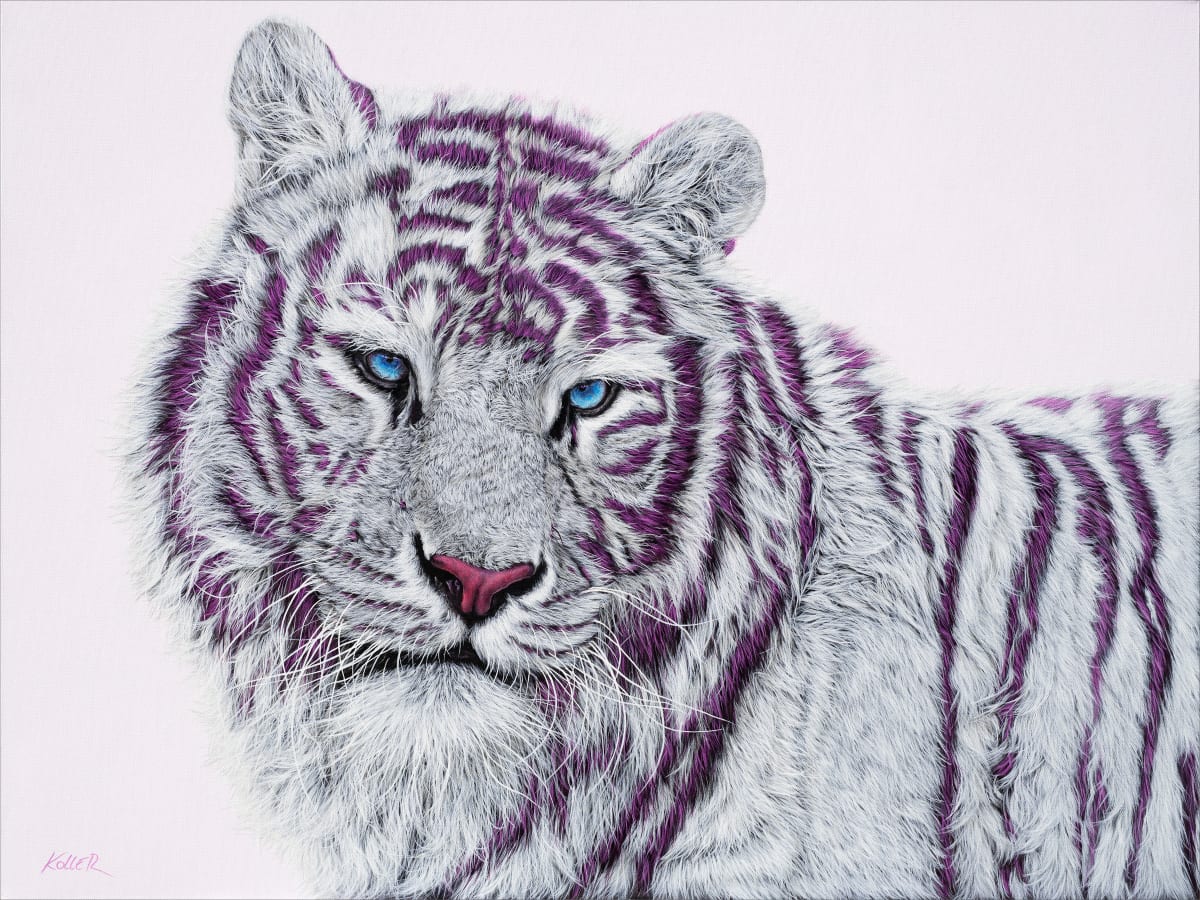 TIGER WITH MAGENTA STRIPES, 2019 by HELMUT KOLLER  